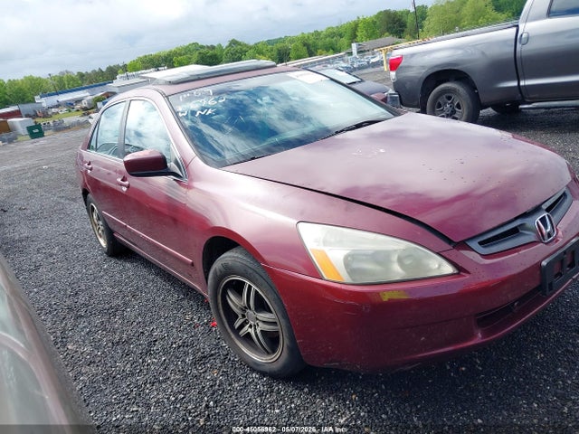 Salvage Honda Accord Image
