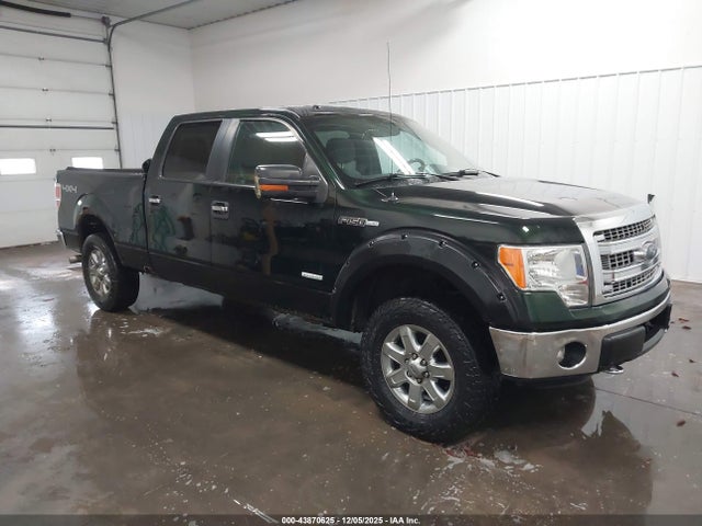 Salvage Ford F-150 Image