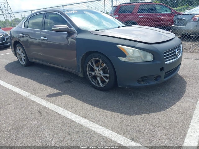 Salvage Nissan Maxima Image