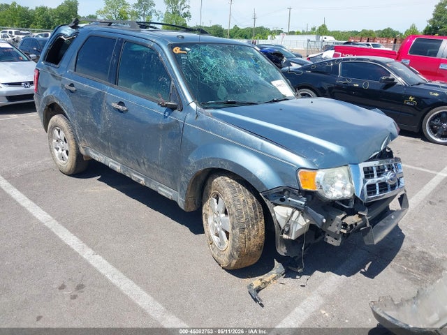 Salvage Ford Escape Image