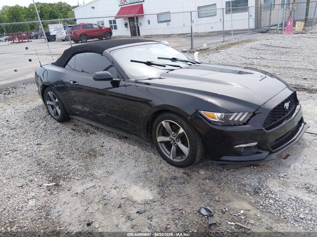 Salvage Ford Mustang Image