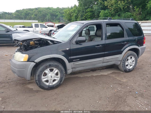 Ford Escape Xlt