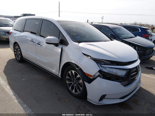 Salvage Honda Odyssey Image