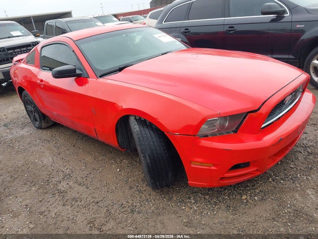 Salvage Ford Mustang Image