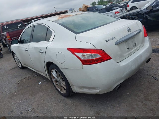Nissan Maxima 3.5 S