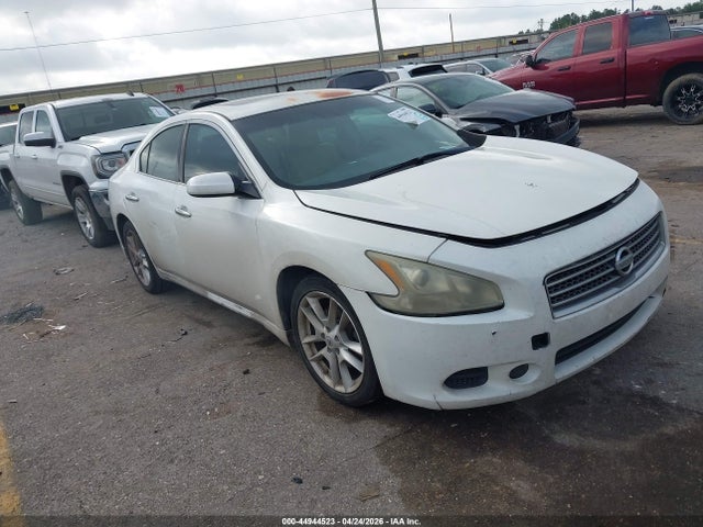 Salvage Nissan Maxima Image