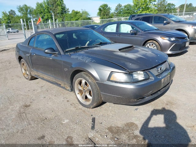 Salvage Ford Mustang Image