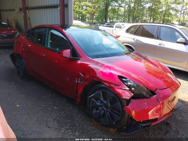 Salvage Tesla Model Y Image