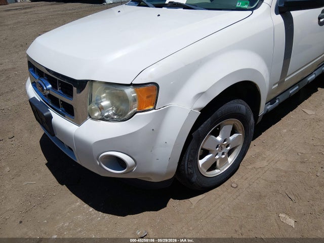 Ford Escape Xls