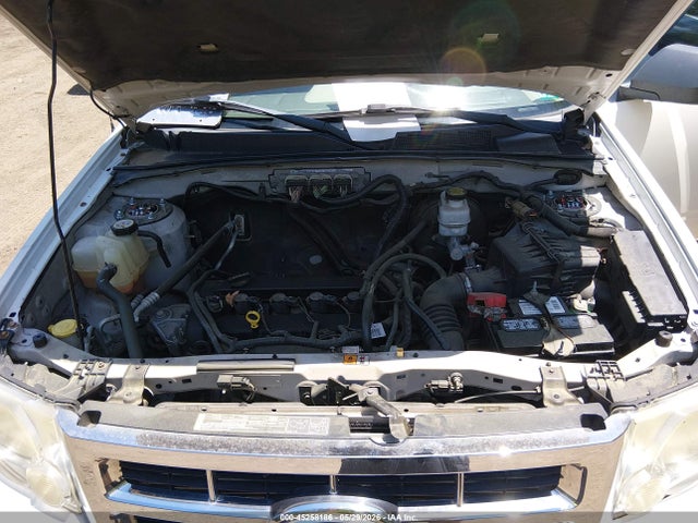 Ford Escape Xls