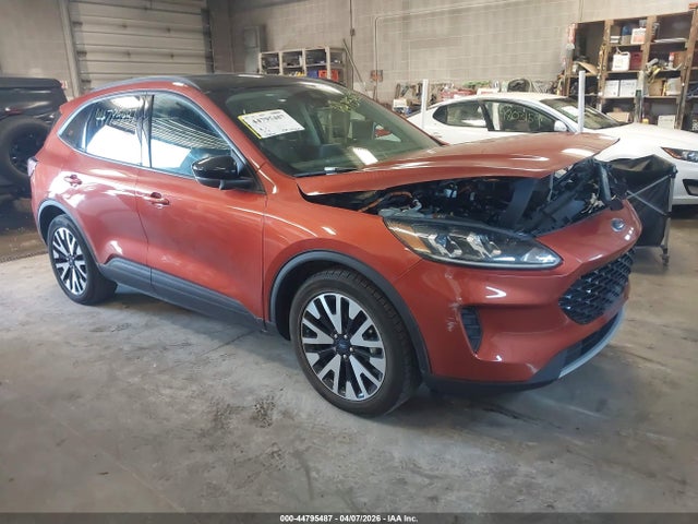 Salvage Ford Escape Image