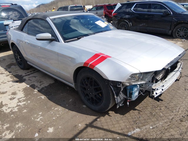 Salvage Ford Mustang Image