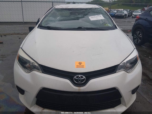 Toyota Corolla Le Eco