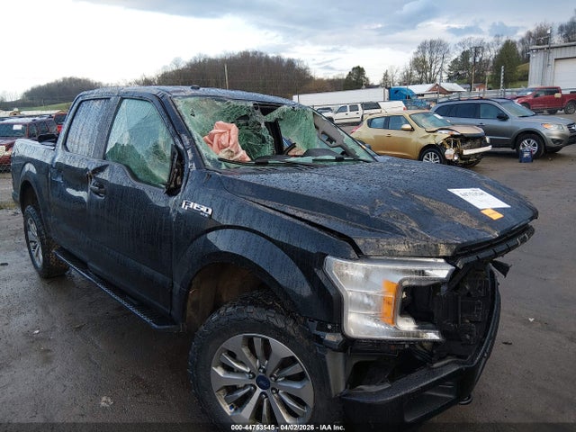 Salvage Ford F-150 Image