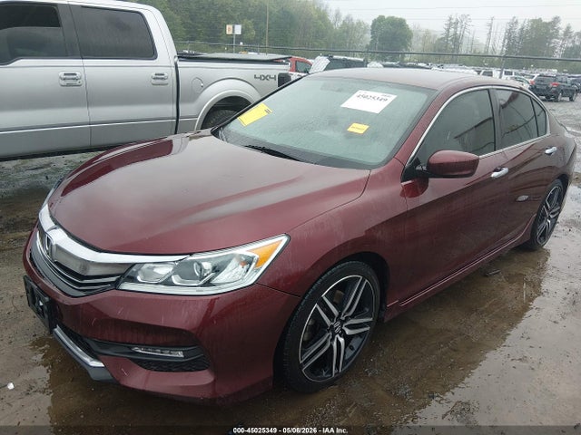 Honda Accord Sport