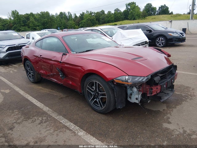 Salvage Ford Mustang Image