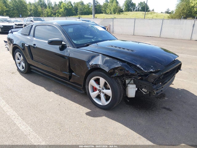 Salvage Ford Mustang Image