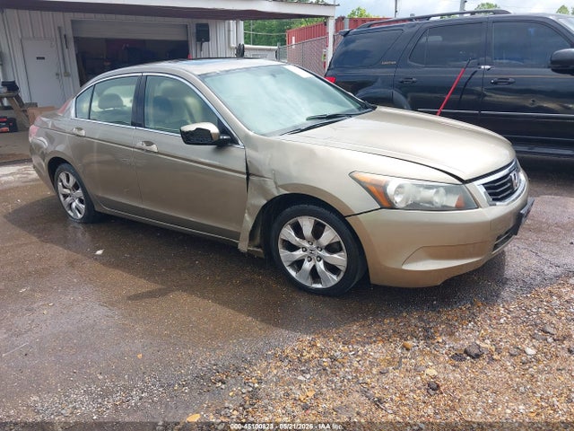 Salvage Honda Accord Image