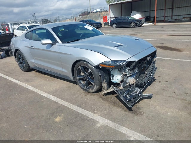 Salvage Ford Mustang Image