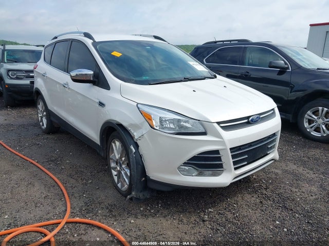 Salvage Ford Escape Image