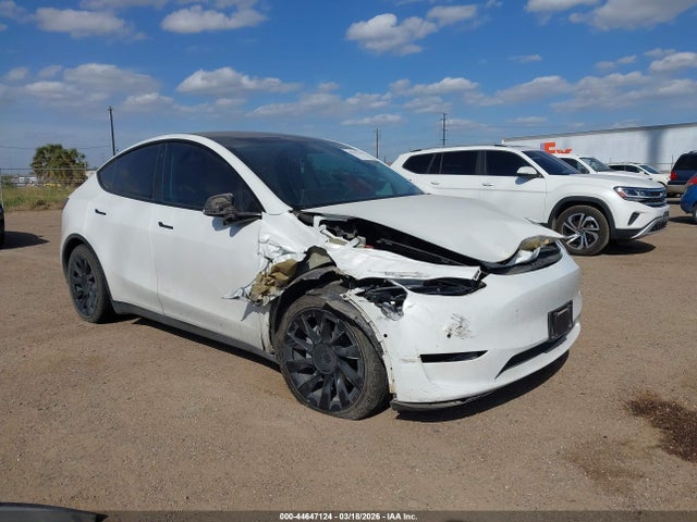 Salvage Tesla Model Y Image