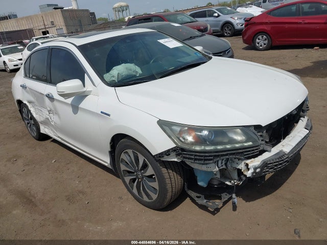 Salvage Honda Accord Image