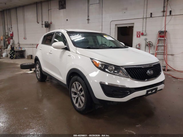 Salvage Kia Sportage Image