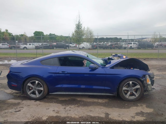 Ford Mustang V6