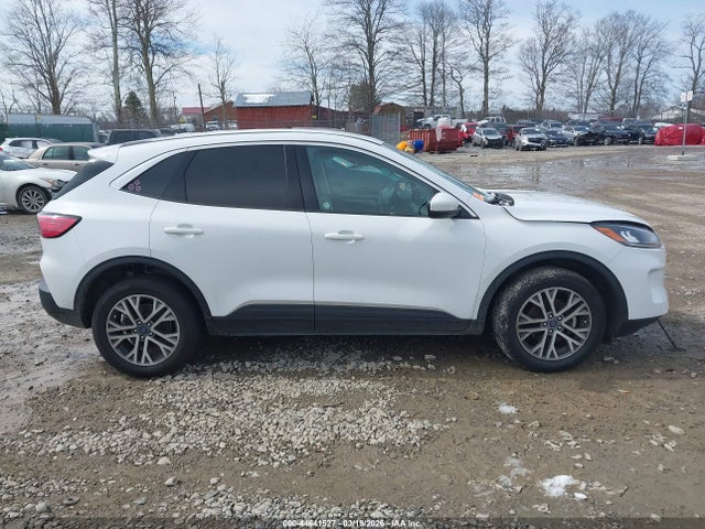 Ford Escape Sel