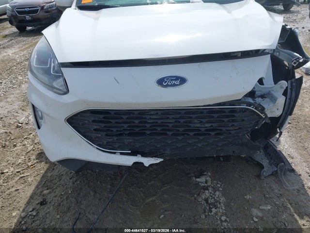Ford Escape Sel