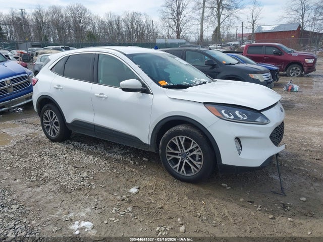 Salvage Ford Escape Image