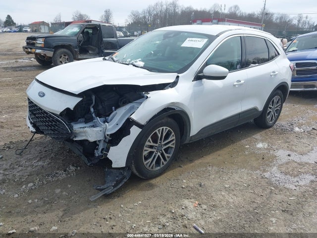 Ford Escape Sel