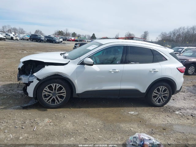 Ford Escape Sel