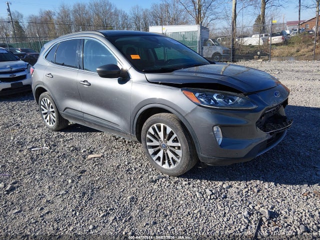 Salvage Ford Escape Image