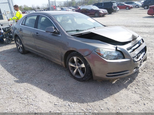 Salvage Chevrolet Malibu Image