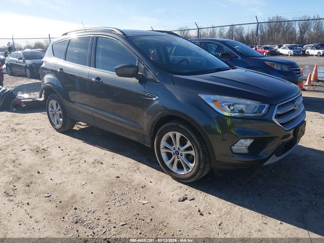 Salvage Ford Escape Image