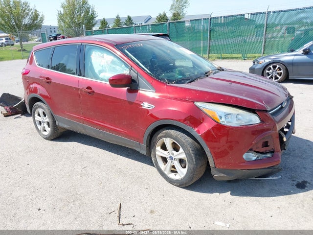 Salvage Ford Escape Image