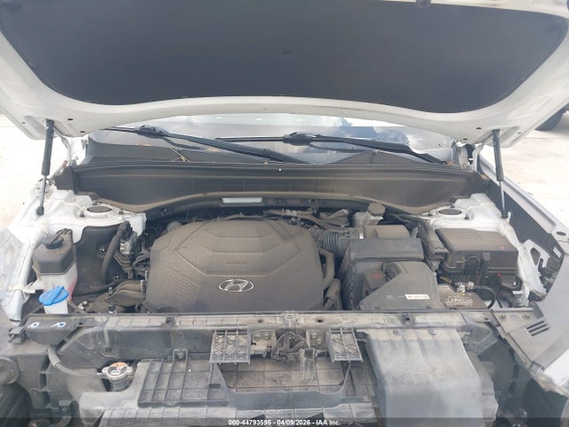 Hyundai PALISADE Calligraphy