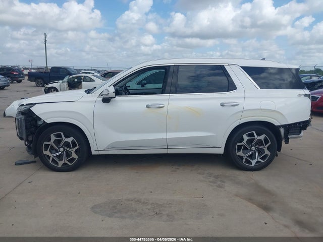 Hyundai PALISADE Calligraphy