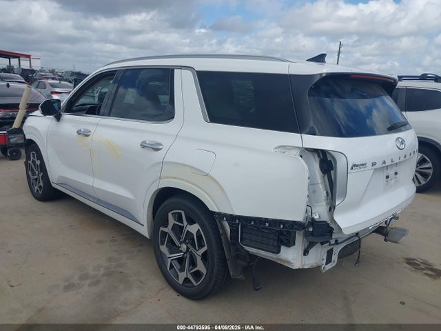 Hyundai PALISADE Calligraphy