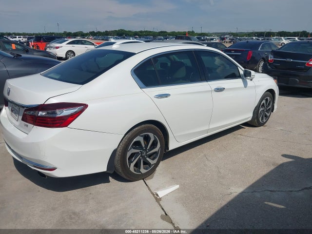 Honda Accord Ex-l V6