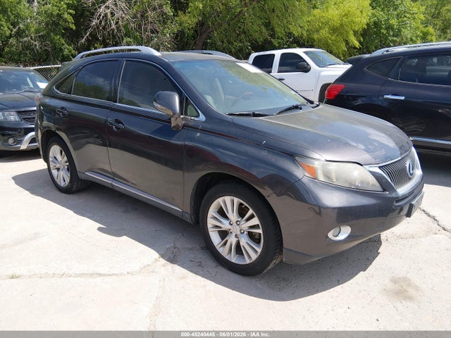Salvage Lexus RX Image