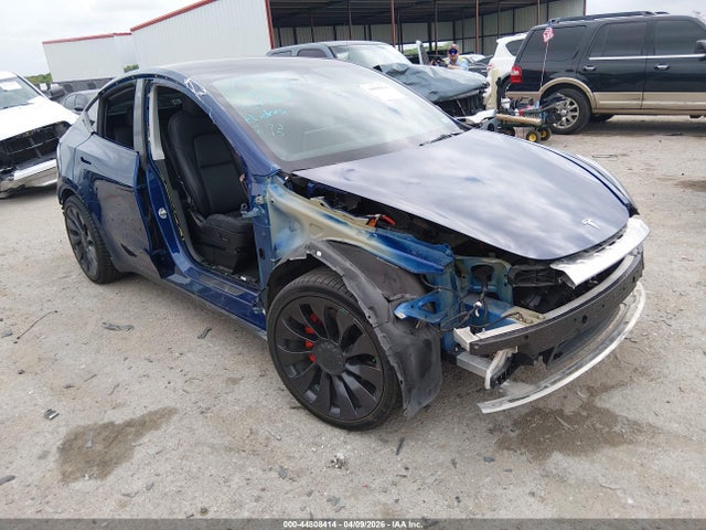 Salvage Tesla Model Y Image