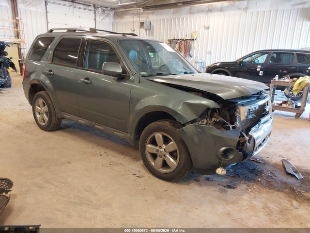 Salvage Ford Escape Image