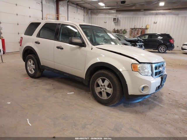 Salvage Ford Escape Image