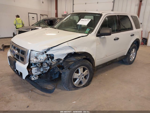 Ford Escape Xls