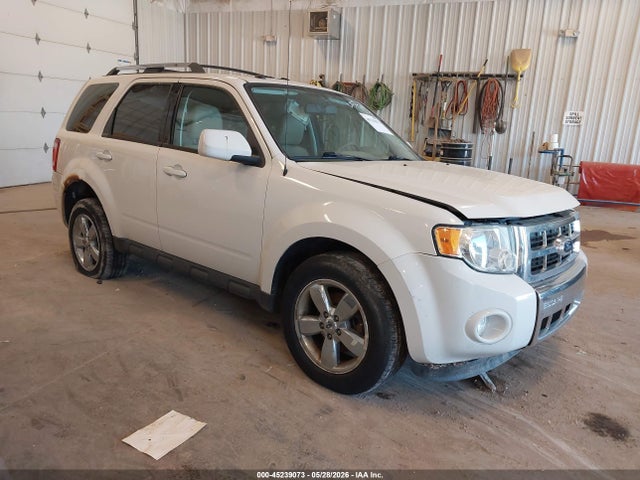Salvage Ford Escape Image
