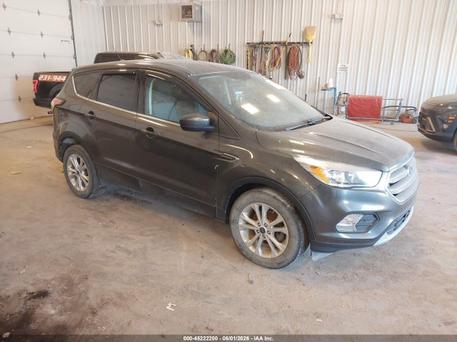 Salvage Ford Escape Image