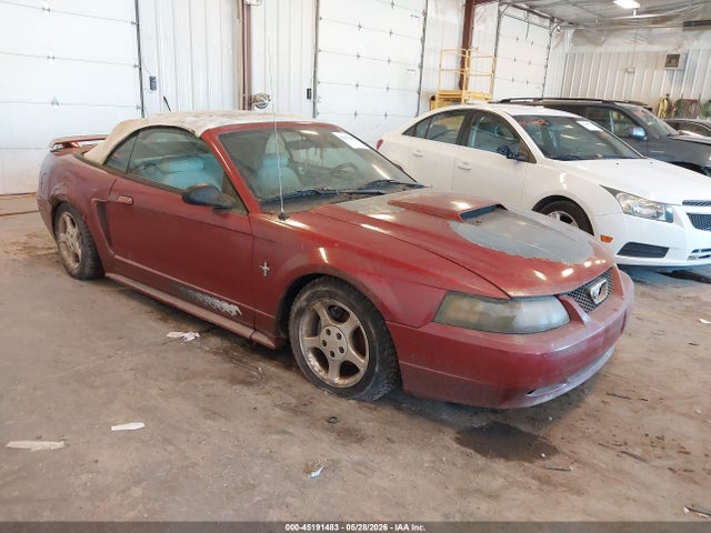 Salvage Ford Mustang Image