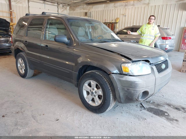 Salvage Ford Escape Image